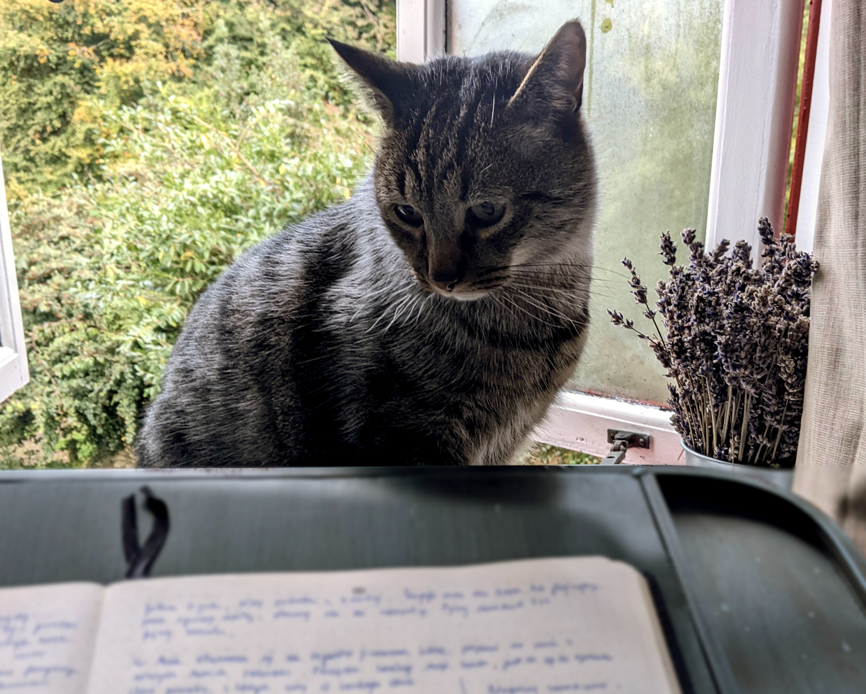 Start journaling